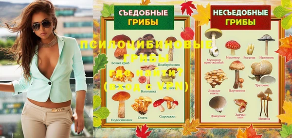 крисы Армянск