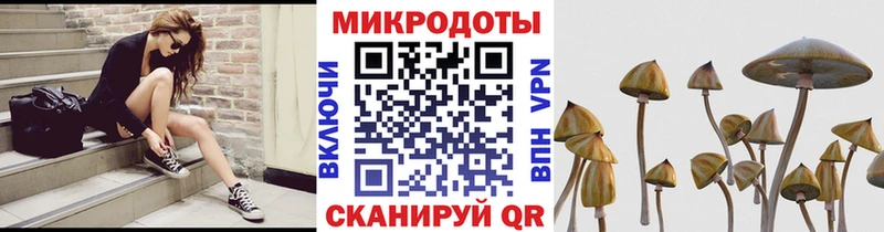 blacksprut рабочий сайт  Печора  Галлюциногенные грибы мухоморы 